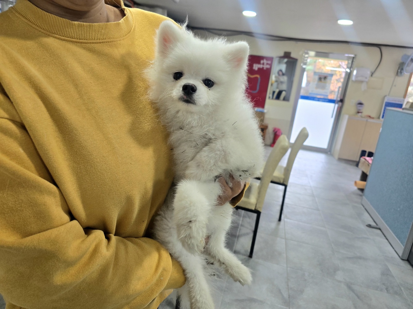 (사)영일동물플러스_447502202401647